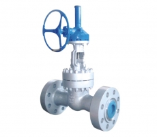 DZ11H、DZ11Y 型锻钢低